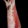 carcasa-ovina-2