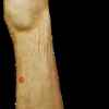 carcasa-de-porc-fara-cap