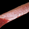 cotlet-fara-os